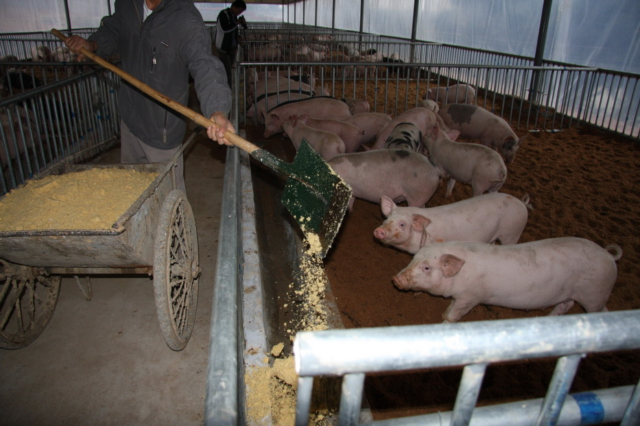 QQ圖片20250522111246.png QQ圖片20250522111246.png