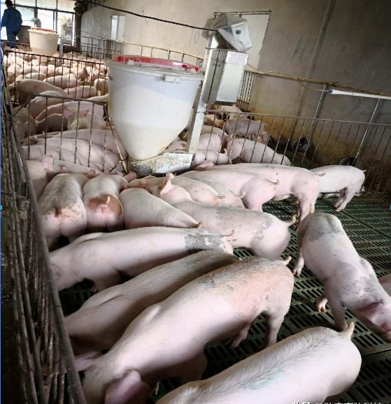 QQ圖片20250527123019.png QQ圖片20250527123019.png