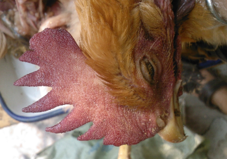 微信截圖_20250527160607.jpg 微信截圖_20250527160607.jpg