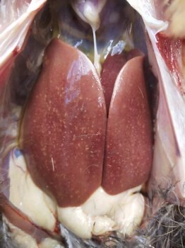 微信圖片_20250527160612.jpg 微信圖片_20250527160612.jpg