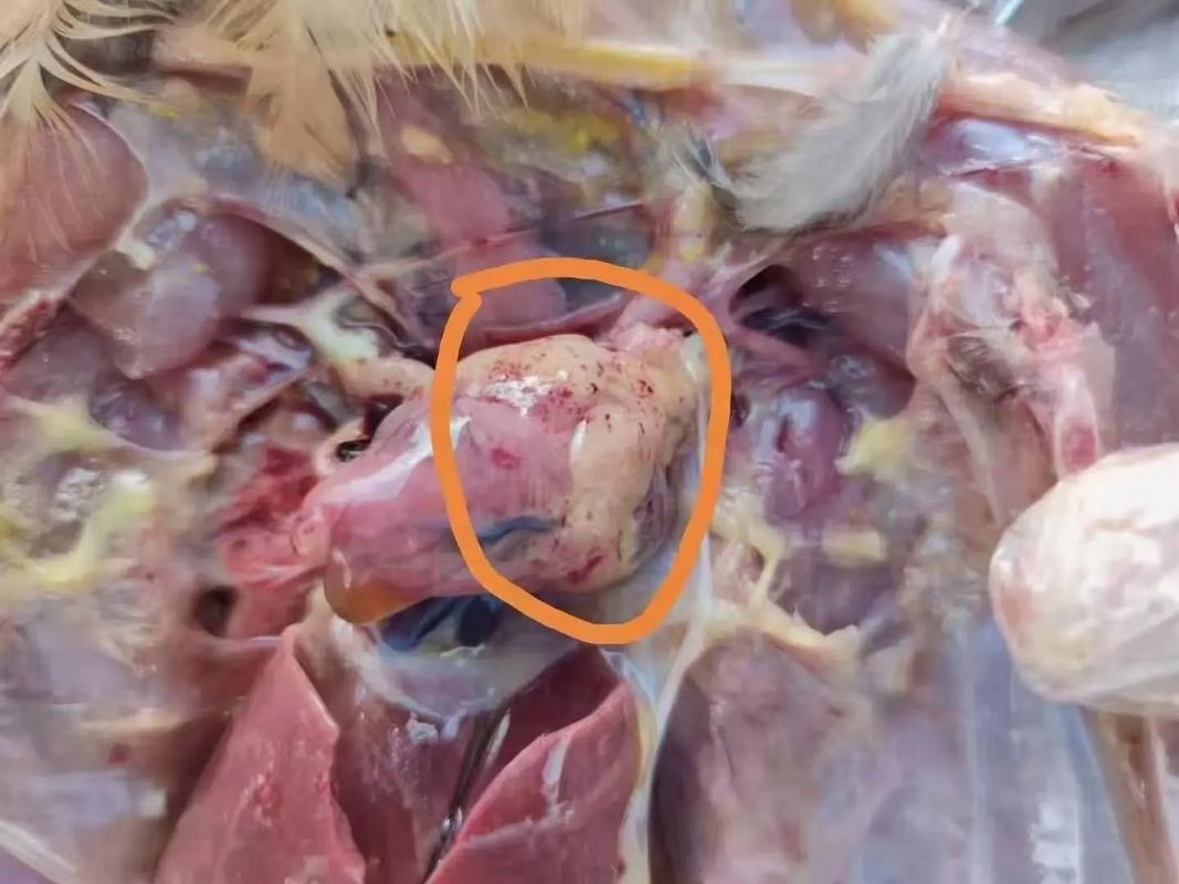 微信圖片_20250527160626.jpg 微信圖片_20250527160626.jpg