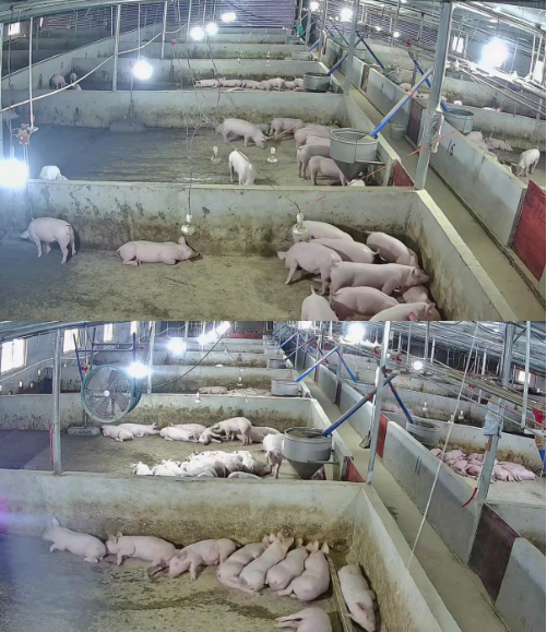 截圖20250528092944.png 截圖20250528092944.png