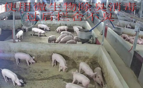 截圖20250528092910.png 截圖20250528092910.png