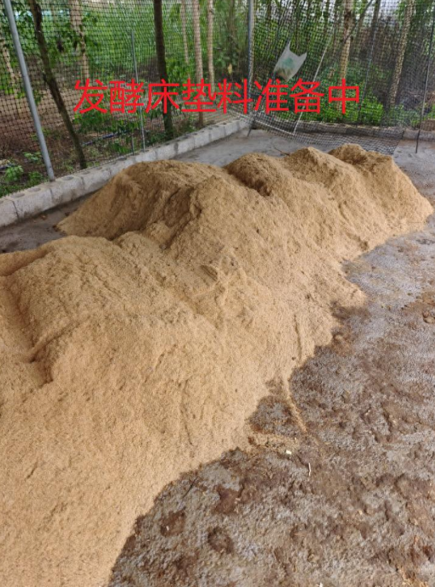 17418448259747694.png 17418448259747694.png