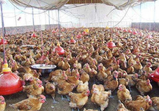 QQ圖片20230421132522.png QQ圖片20230421132522.png