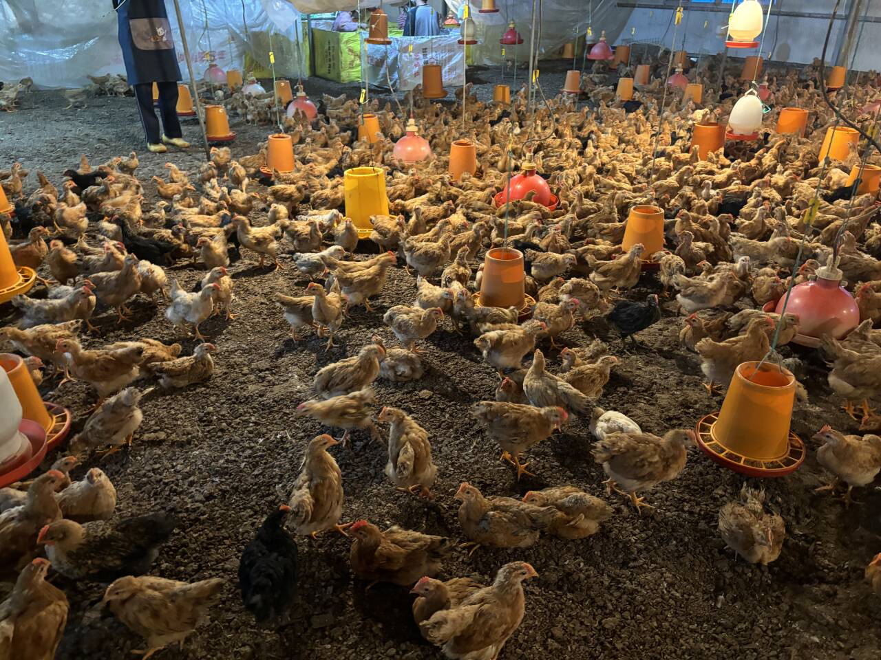 QQ圖片20250117142340.jpg QQ圖片20250117142340.jpg