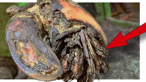 84761741-051b-4bad-b3e5-6be5fc1c6fd3_1748481551666610337_origin~tplv-a9rns2rl98-image-qvalue.jpeg 84761741-051b-4bad-b3e5-6be5fc1c6fd3_1748481551666610337_origin~tplv-a9rns2rl98-image-qvalue.jpeg