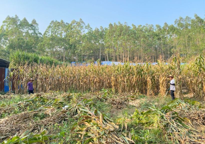 QQ圖片20250328102357.png QQ圖片20250328102357.png