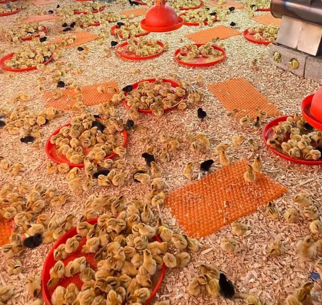 QQ圖片20250227133228.jpg QQ圖片20250227133228.jpg