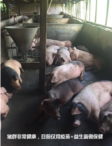 截圖20250604094653.png 截圖20250604094653.png