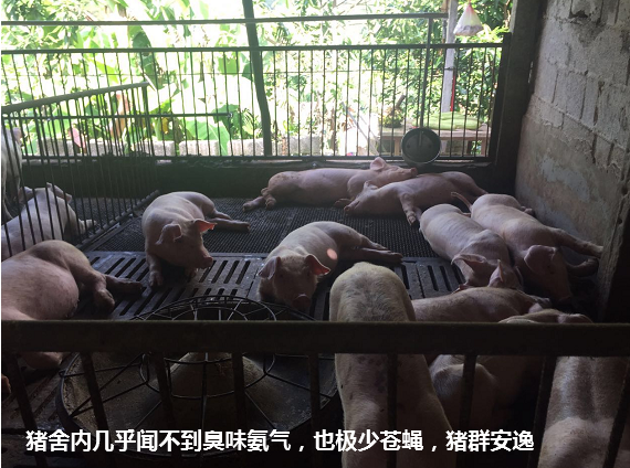 截圖20250604094709.png 截圖20250604094709.png