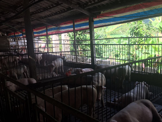 截圖20250604094943.png 截圖20250604094943.png