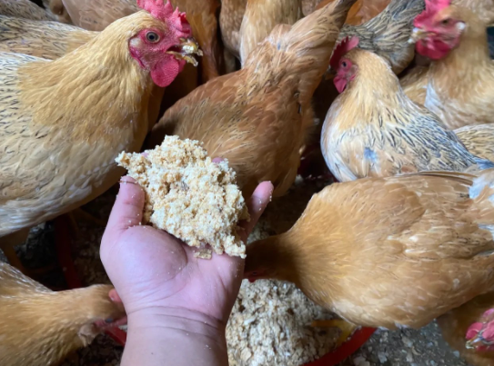 QQ圖片20240515134438.png QQ圖片20240515134438.png