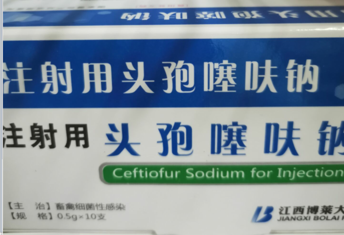 QQ圖片20210813115136.png QQ圖片20210813115136.png