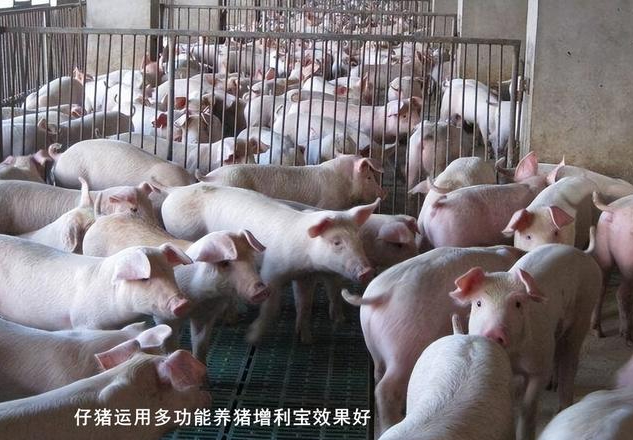 截圖20250611094637.png 截圖20250611094637.png