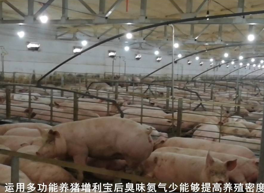 截圖20250611094833.png 截圖20250611094833.png