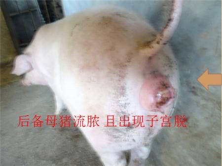 微信圖片_20250611112014.jpg 微信圖片_20250611112014.jpg