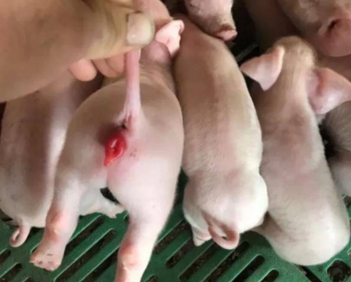 微信截圖_20250611112002.jpg 微信截圖_20250611112002.jpg