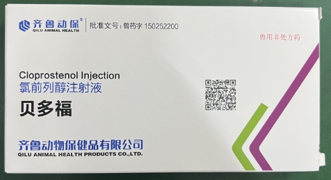 微信截圖_20250611112023.jpg 微信截圖_20250611112023.jpg