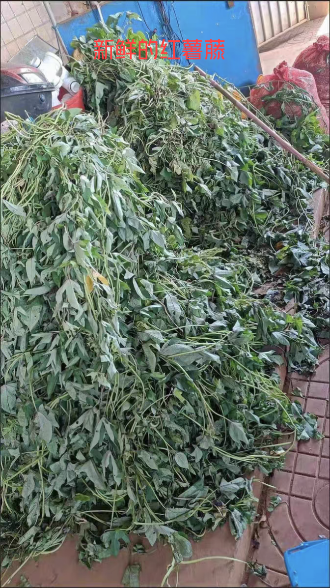 1641531326183530.png 1641531326183530.png