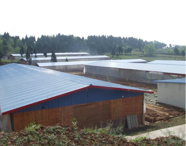 活力發(fā)酵床1.png 活力發(fā)酵床1.png