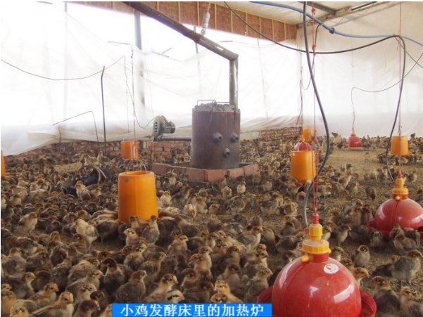 活力發(fā)酵床2.png 活力發(fā)酵床2.png