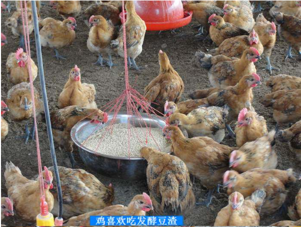 活力發(fā)酵床5.png 活力發(fā)酵床5.png