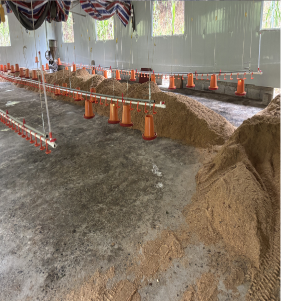 活力發(fā)酵床14.png 活力發(fā)酵床14.png