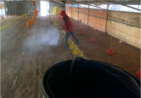 活力發(fā)酵床15.png 活力發(fā)酵床15.png