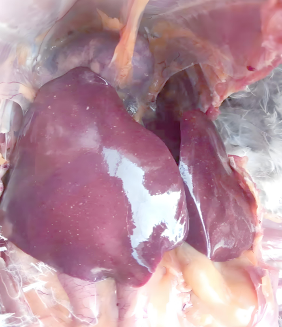 92D75867B4306D8A019C37EDDC37B0FB.png 92D75867B4306D8A019C37EDDC37B0FB.png