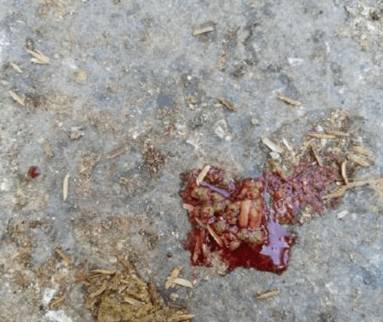 微信截圖_20250617090516.jpg 微信截圖_20250617090516.jpg