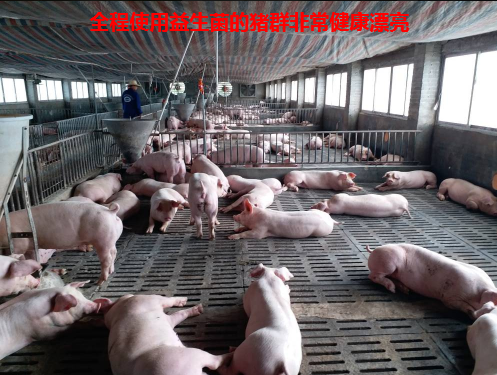 QQ圖片20250225132317.png QQ圖片20250225132317.png