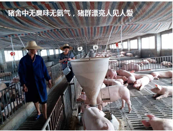 1750312536802.jpg 1750312536802.jpg