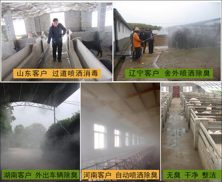 截圖20250704144331.png 截圖20250704144331.png