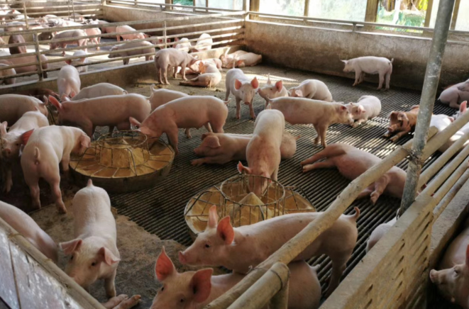 1700815094135033.png 1700815094135033.png