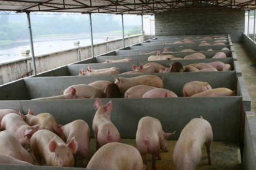 QQ圖片20211029134236.png QQ圖片20211029134236.png