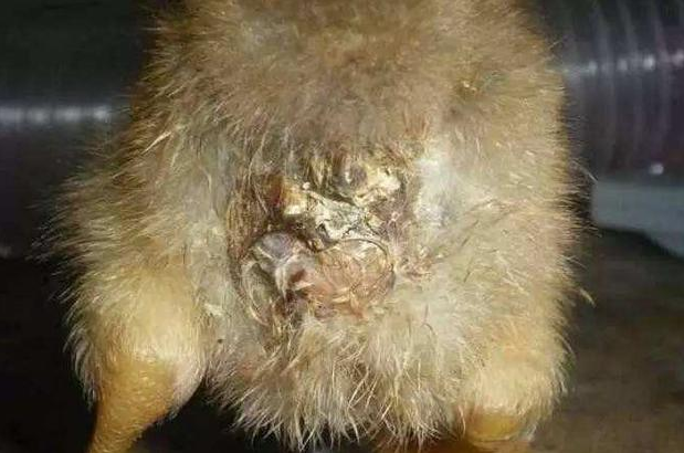 QQ圖片20250714141121.png QQ圖片20250714141121.png