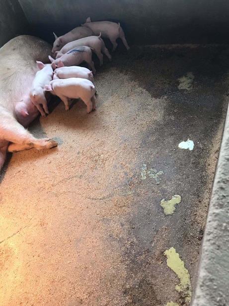 微信圖片_20250717093856.jpg 微信圖片_20250717093856.jpg