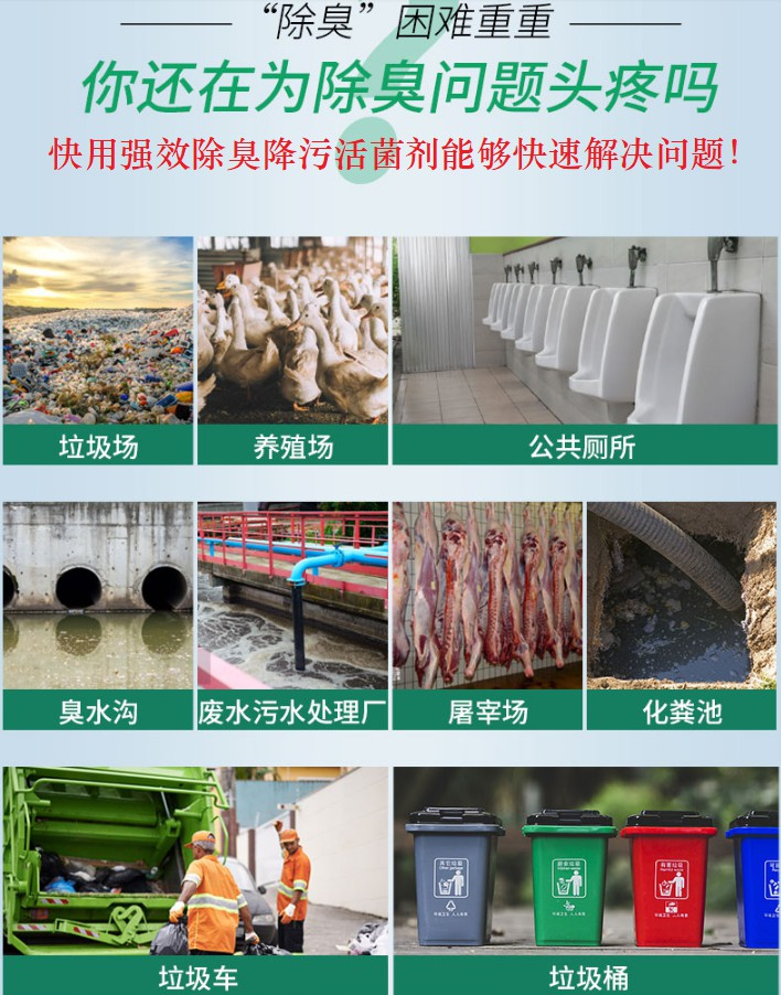 QQ圖片20250225111701.png QQ圖片20250225111701.png