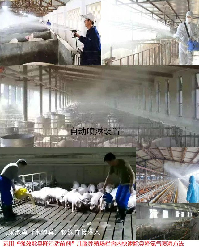 QQ圖片20250225112319.png QQ圖片20250225112319.png