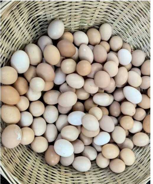 微信截圖_20250717150537.png 微信截圖_20250717150537.png