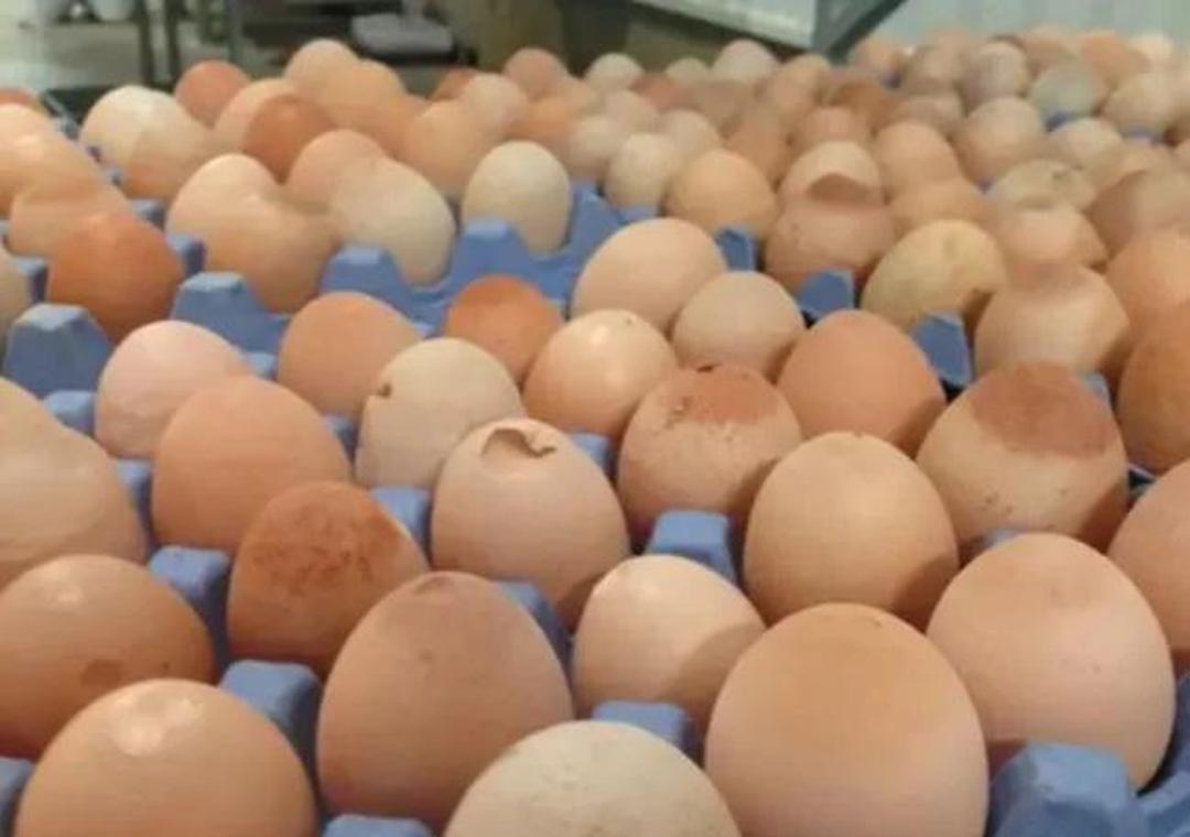 4FA5DDD6868BBE9E7A3049E5573DE267.jpg 4FA5DDD6868BBE9E7A3049E5573DE267.jpg