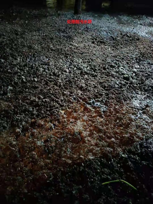 魚塘3.jpg 魚塘3.jpg