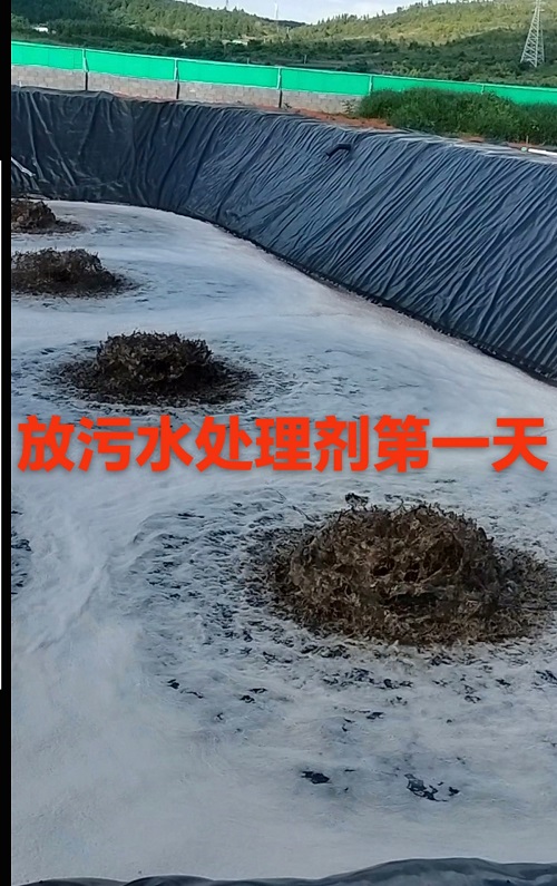 微信圖片_20250722212917.jpg 微信圖片_20250722212917.jpg