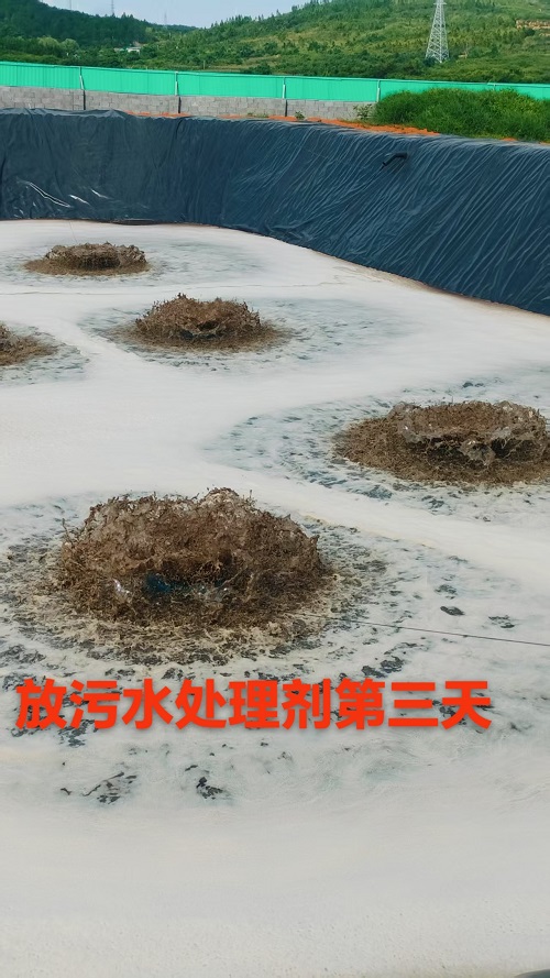 微信圖片_20250722212929.jpg 微信圖片_20250722212929.jpg