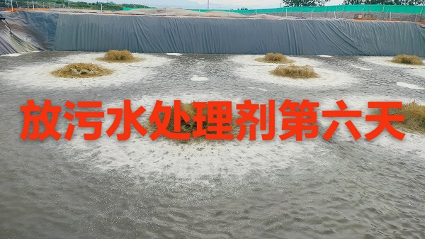 微信圖片_20250722212938.jpg 微信圖片_20250722212938.jpg