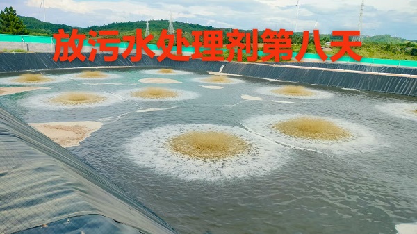 微信圖片_20250722212946.jpg 微信圖片_20250722212946.jpg