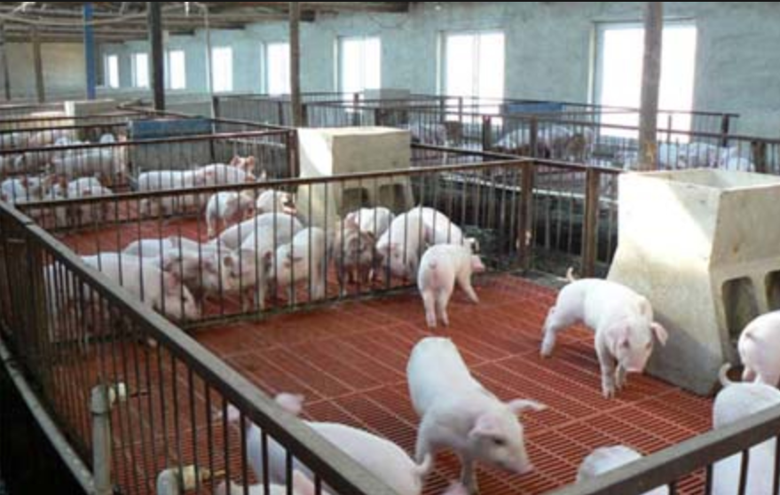 截圖20250724094358.png 截圖20250724094358.png