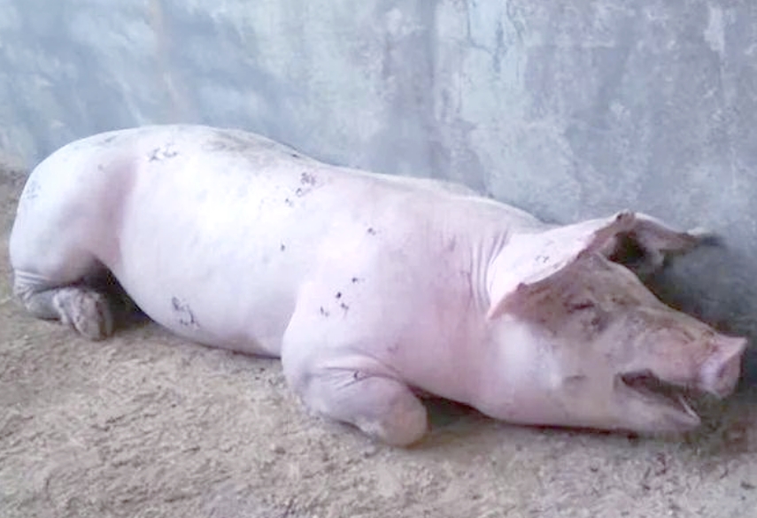 微信截圖_20250725092226.jpg 微信截圖_20250725092226.jpg