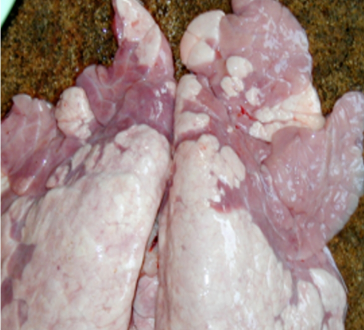 微信截圖_20250725092241.jpg 微信截圖_20250725092241.jpg